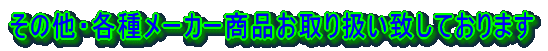 ̑Ee탁[J[i舵vĂ܂